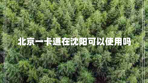 北京一卡通在沈阳可以使用吗