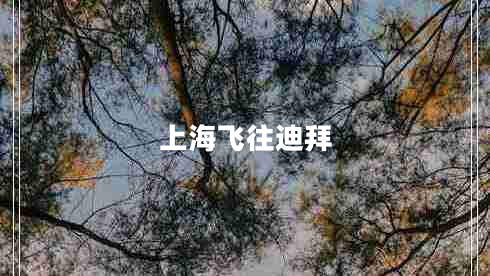 上海飞往迪拜