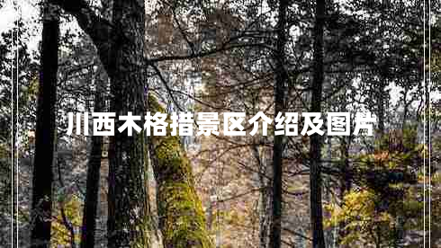 川西木格措景区介绍及图片