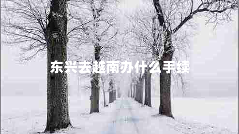 东兴去越南办什么手续