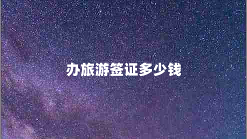 办旅游签证多少钱 办旅游签证多少钱