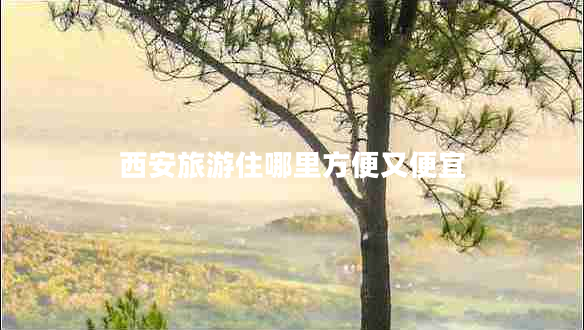 西安旅游住哪里方便又便宜