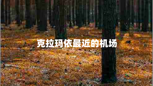 克拉玛依最近的机场