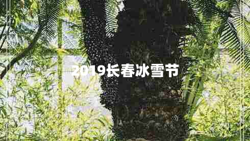 2019长春冰雪节