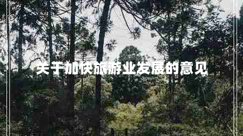 关于加快旅游业发展的意见