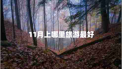 11月上哪里旅游最好