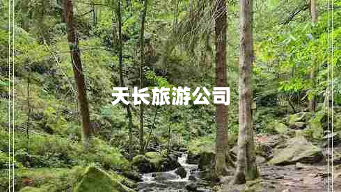 天长旅游公司