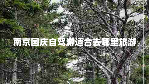 南京国庆自驾游适合去哪里旅游