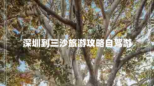 深圳到三沙旅游攻略自驾游