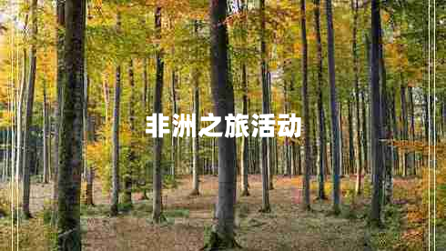 非洲之旅活动