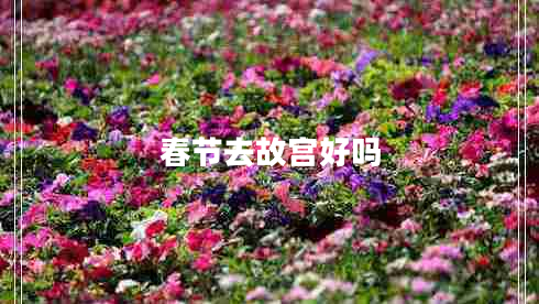 春节去故宫好吗