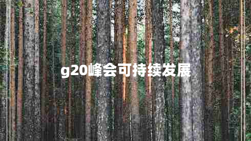 g20峰会可持续发展