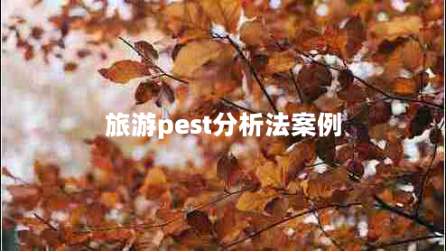 旅游pest分析法案例