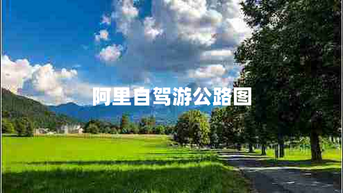 阿里自驾游公路图