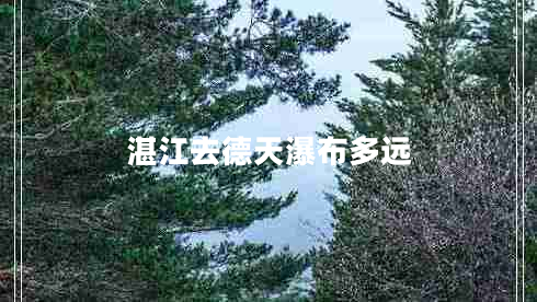 湛江去德天瀑布多远