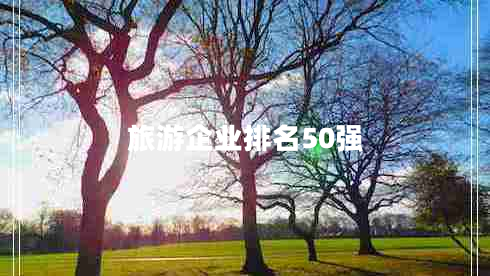 旅游企业排名50强