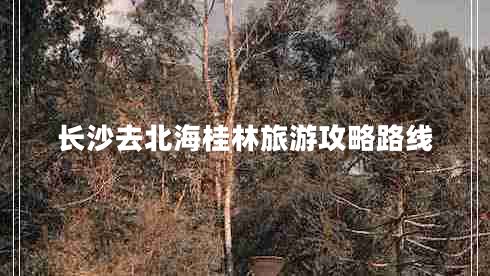 长沙去北海桂林旅游攻略路线