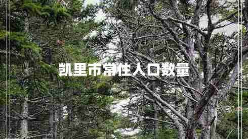 凯里市常住人口数量