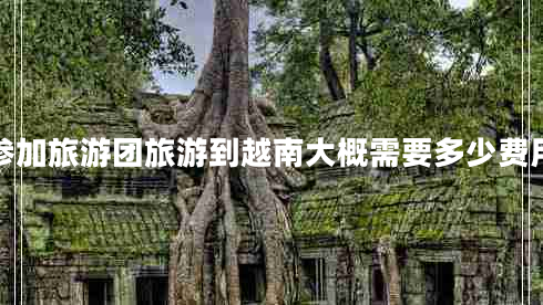 参加旅游团旅游到越南大概需要多少费用