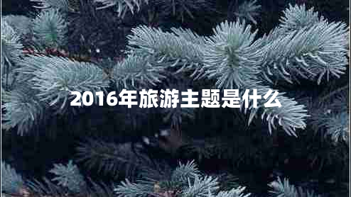 2016年旅游主题是什么