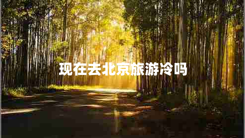 现在去北京旅游冷吗