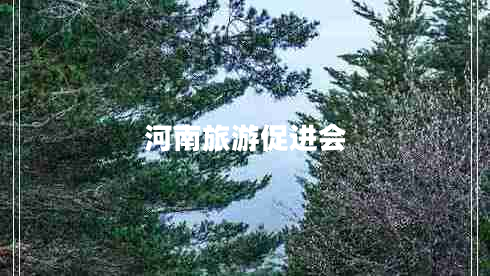 河南旅游促进会