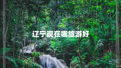 辽宁现在哪旅游好