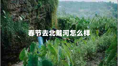 春节去北戴河怎么样