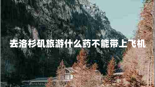 去洛杉矶旅游什么药不能带上飞机