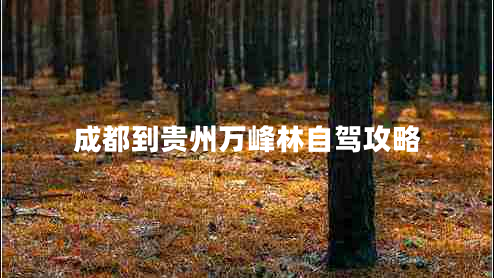 成都到贵州万峰林自驾攻略