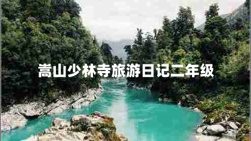 嵩山少林寺旅游日记二年级