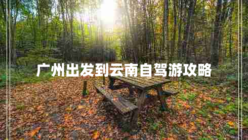 广州出发到云南自驾游攻略