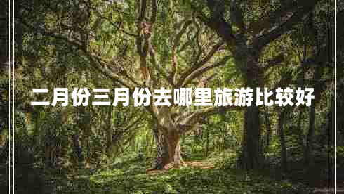 二月份三月份去哪里旅游比较好