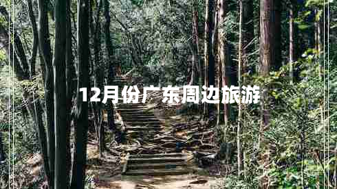 12月份广东周边旅游