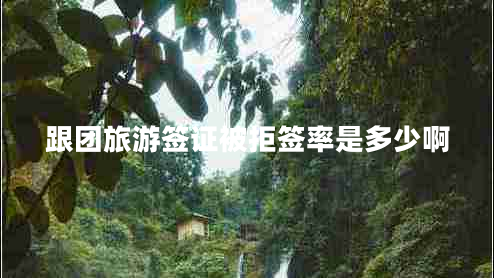 跟团旅游签证被拒签率是多少啊