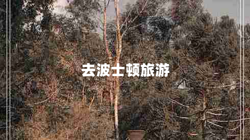 去波士顿旅游