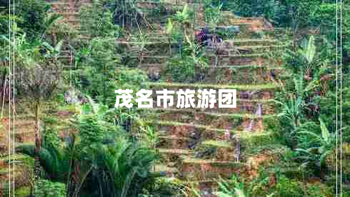 茂名市旅游团