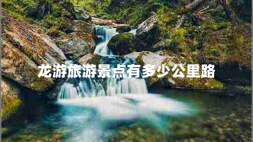 龙游旅游景点有多少公里路