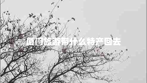 厦门旅游带什么特产回去