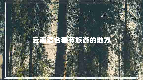 云南适合春节旅游的地方