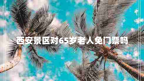 西安景区对65岁老人免门票吗