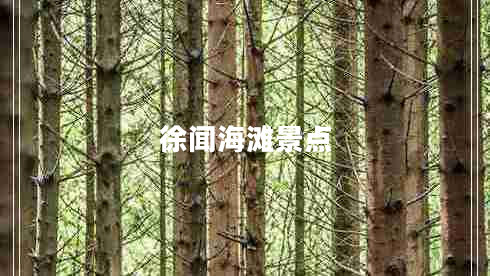 徐闻海滩景点