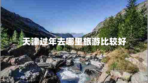 天津过年去哪里旅游比较好