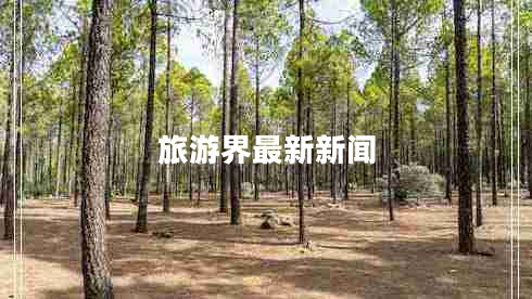 旅游界最新新闻