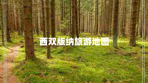 西双版纳旅游地图