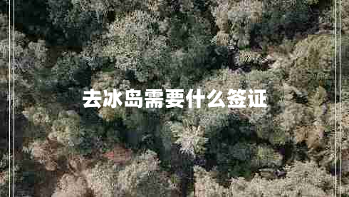 去冰岛需要什么签证