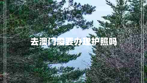 去澳门需要办理护照吗