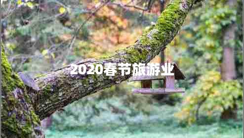 2020春节旅游业