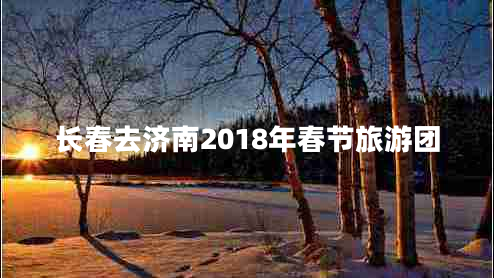 长春去济南2018年春节旅游团