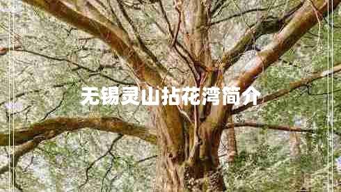 无锡灵山拈花湾简介